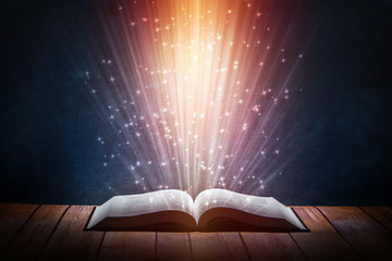 幼儿园小班科学实验教案详案《花儿妙用多》