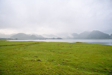 含有动物名称的成语100个