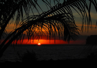 铃兰花为啥不吉利