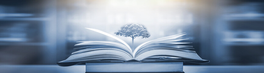 六年级上册第六单元英语42页的公告栏怎么读