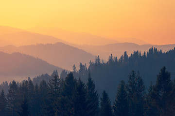 企业晨会激励小故事