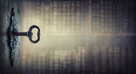 铃兰花为啥不吉利