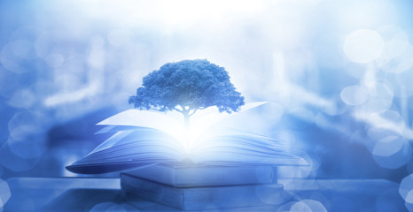 安庆古玩市场集市时间