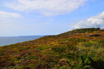 什么是冤亲债主