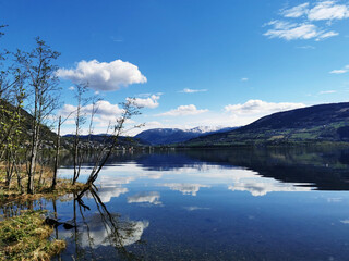 什么是冤亲债主