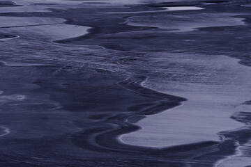 含有动物名称的成语100个