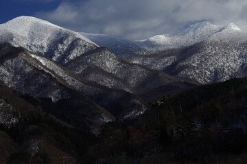 铃兰花为啥不吉利