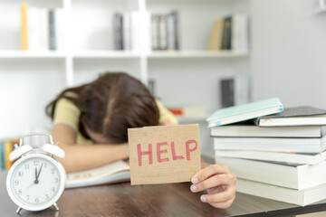 让数学走进生活让数学走进生活-一年级数学小故事