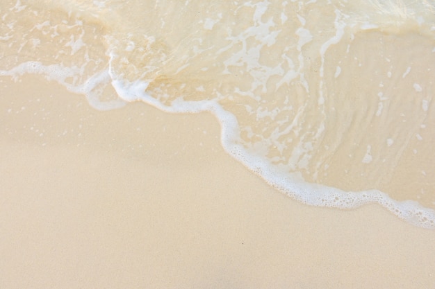 幼儿园小班科学实验教案详案《花儿妙用多》