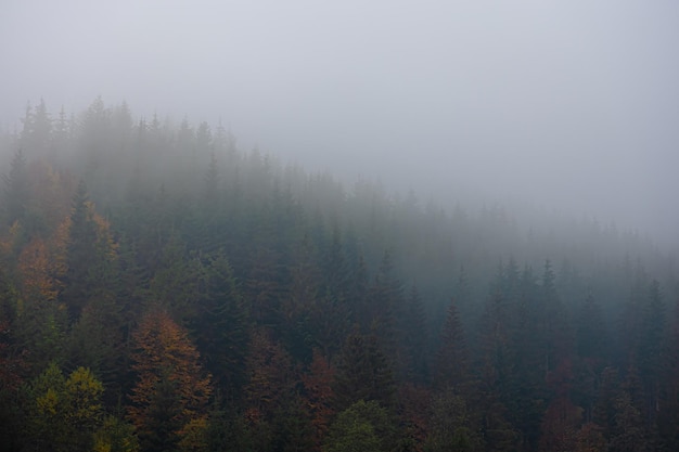 含有动物名称的成语100个