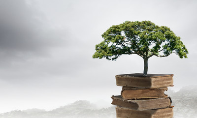 什么是冤亲债主