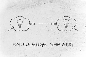 铃兰花为啥不吉利