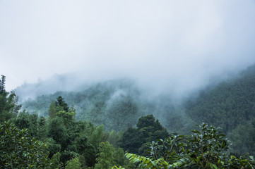 企业晨会激励小故事