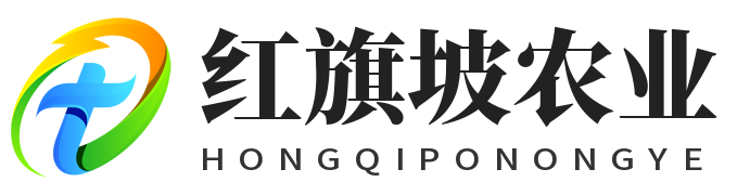 遥弈号